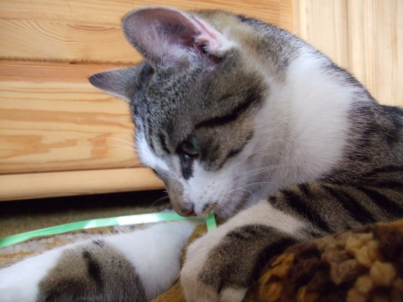 Ostern 2007 Orleshausen 148 